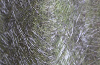 Lower Wolverton fibreglass roof work